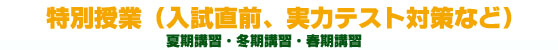 特別授業（入試直前、実力テスト対策など）